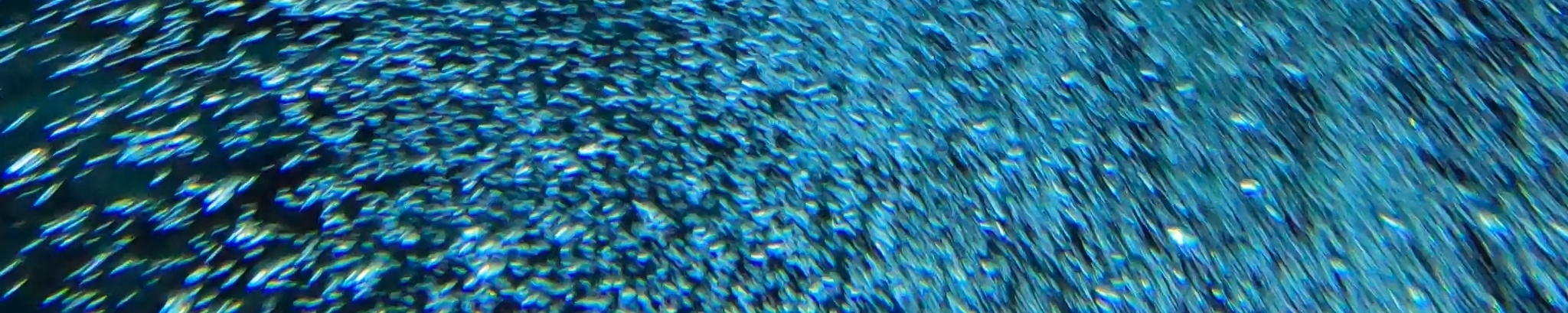 bobler4